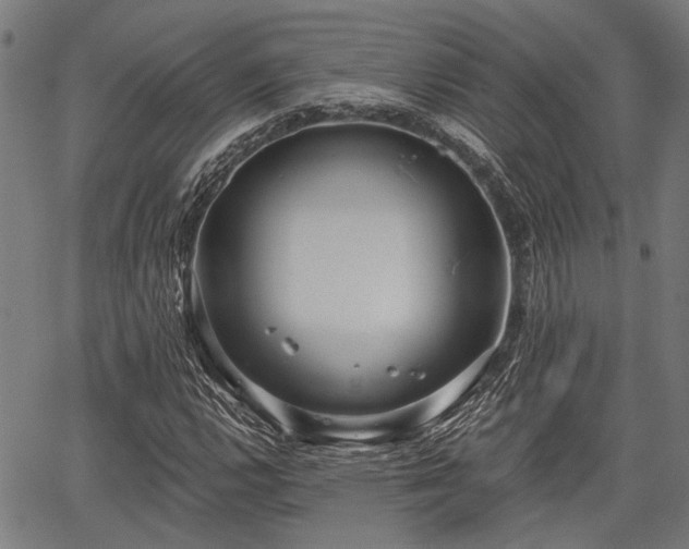 X0000067351112200604030927