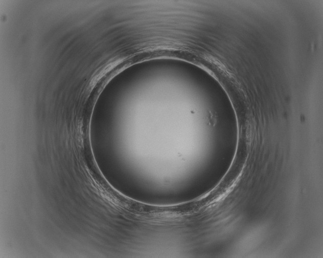 X0000067351113200604030927