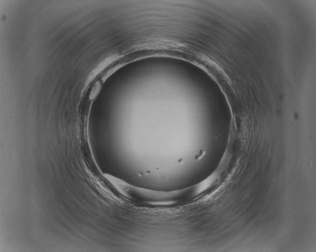 X0000067351114200604030927