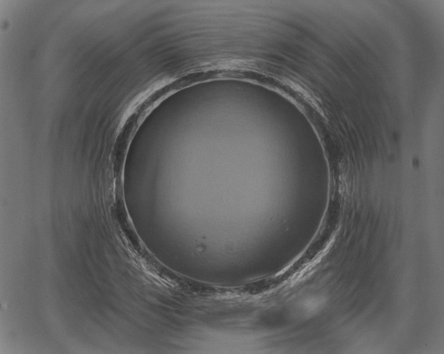 X0000067351117200604030927