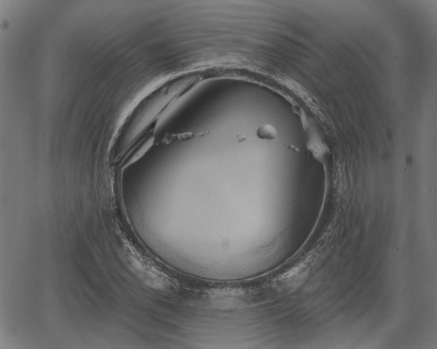 X0000067351118200604030927