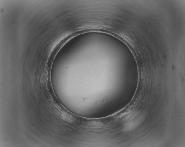 X0000067351119200604030927