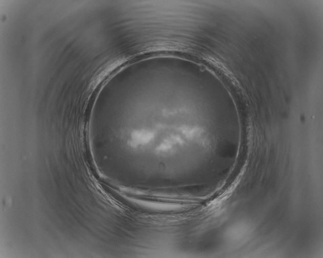 X0000067351121200604030927