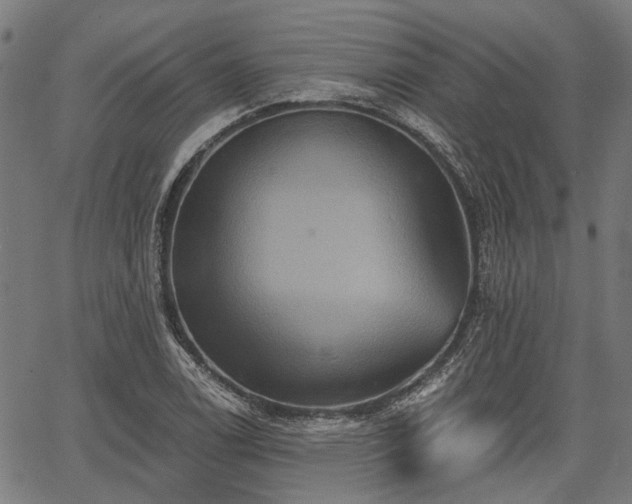 X0000067351122200604030927