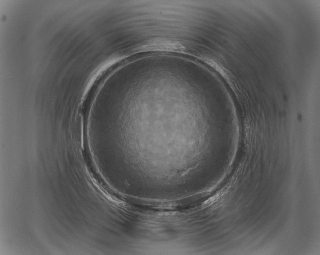 X0000067351123200604030927