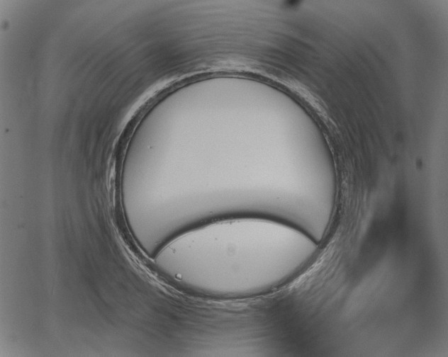 X0000067351126200604030927