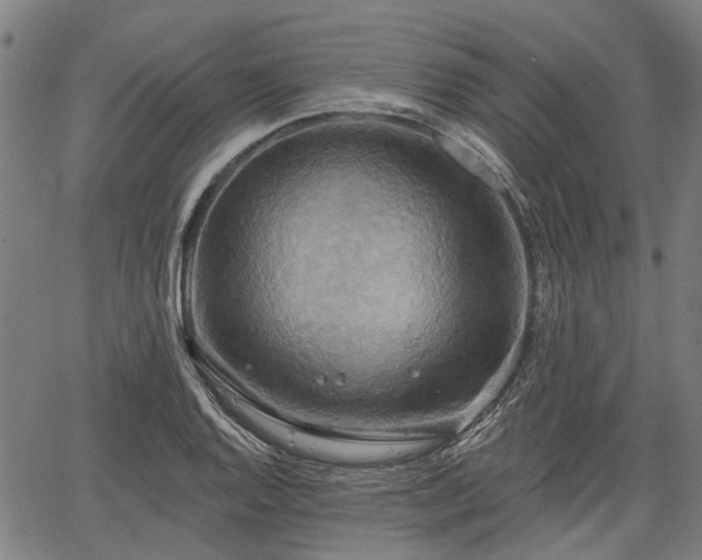 X0000067351128200604030927