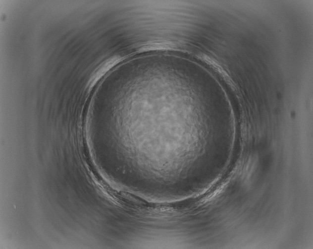 X0000067351129200604030927