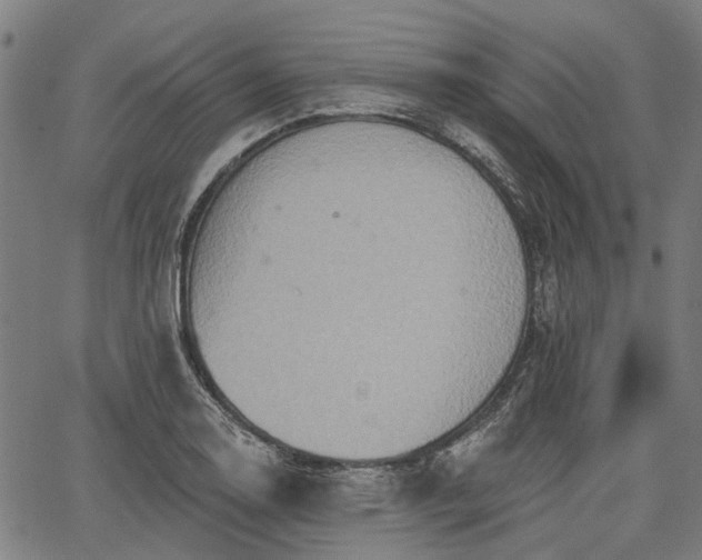 X0000067351130200604030927