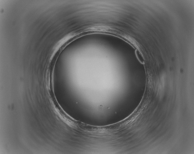 X0000067351131200604030927