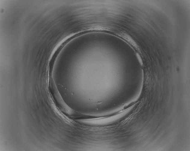 X0000067351132200604030927