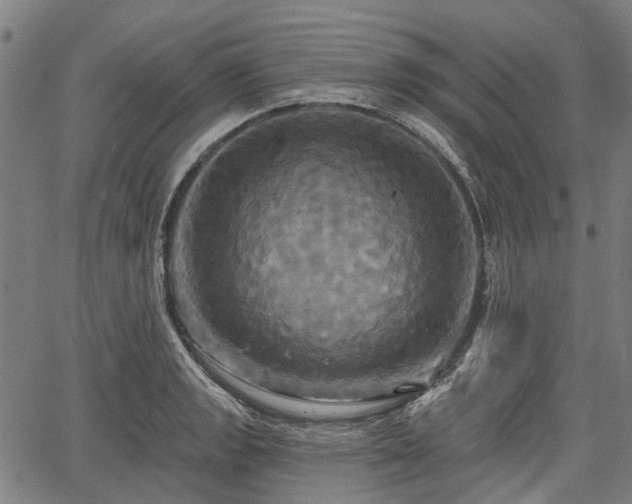 X0000067351133200604030927