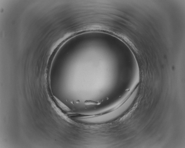 X0000067351134200604030927