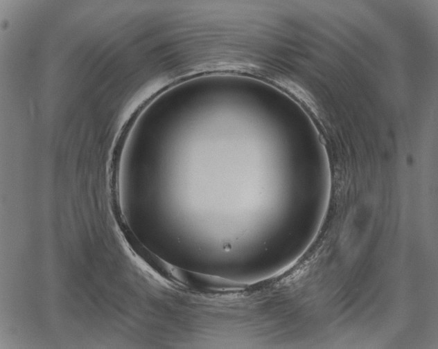 X0000067351135200604030927