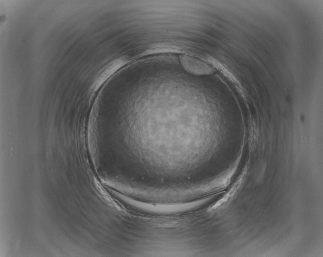 X0000067351137200604030927