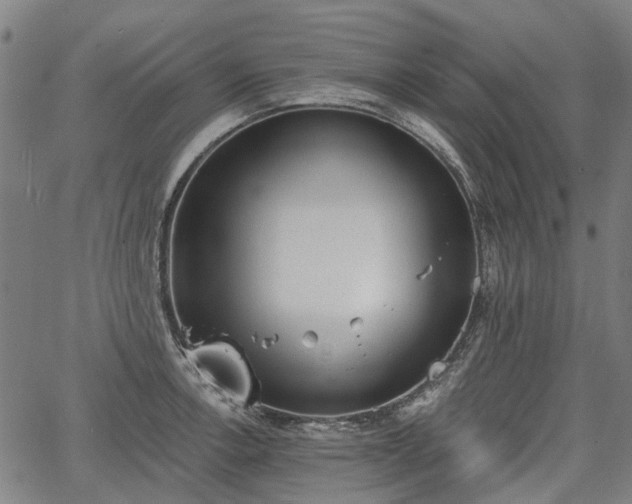 X0000067351138200604030927