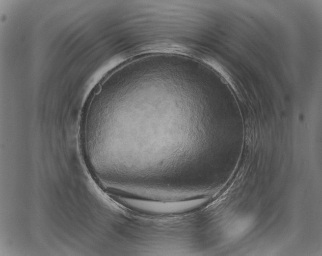 X0000067351139200604030927