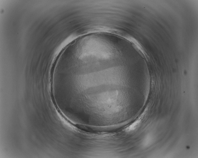 X0000067351143200604030927