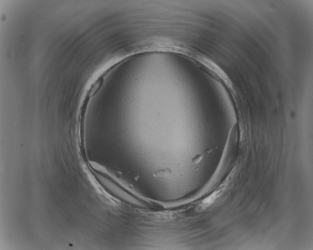 X0000067351144200604030927