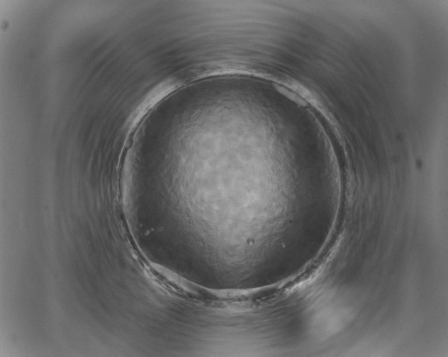 X0000067351145200604030927