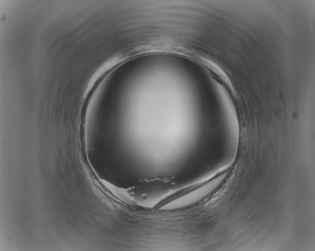 X0000067351146200604030927