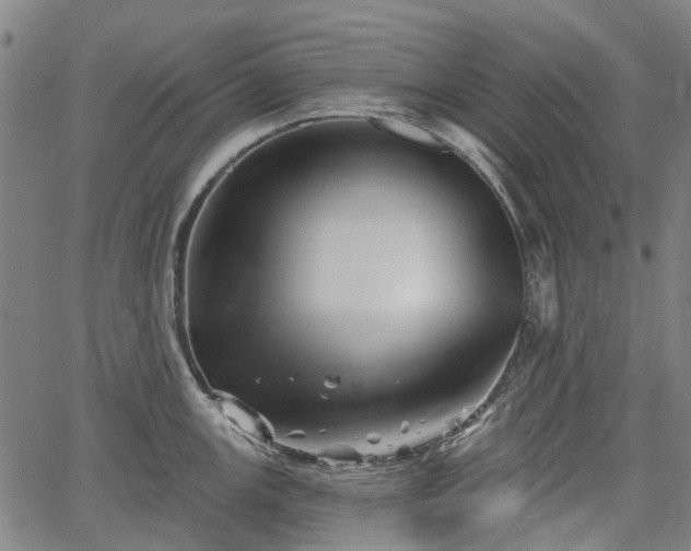 X0000067351147200604030927