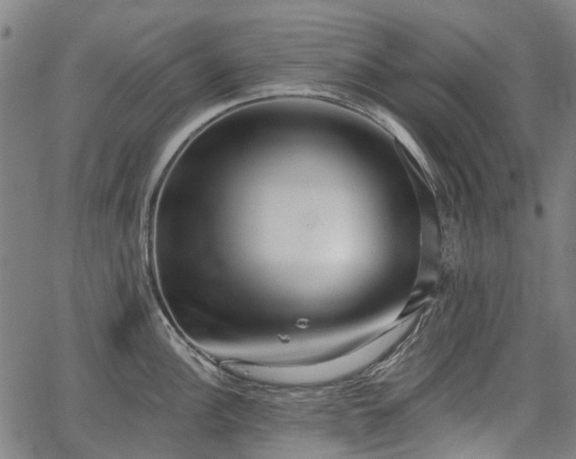 X0000067351148200604030927