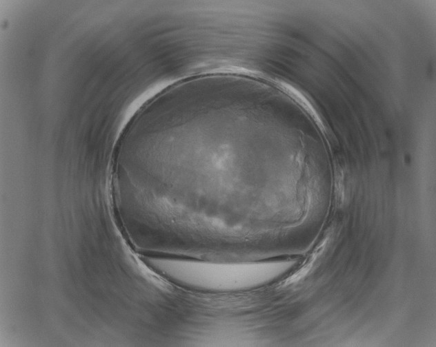 X0000067351149200604030928