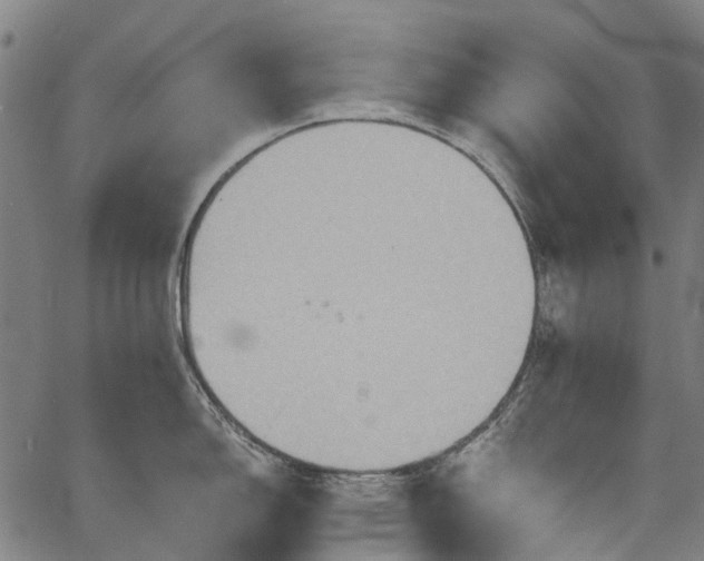 X0000067351150200604030928