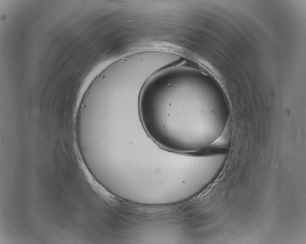 X0000067351152200604030928