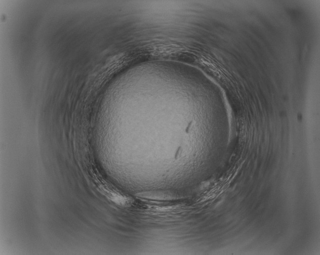 X0000067351153200604030927