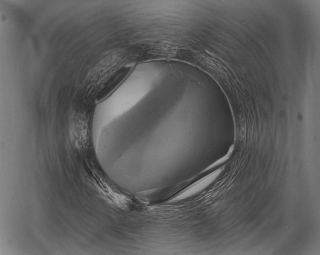 X0000067351154200604030927