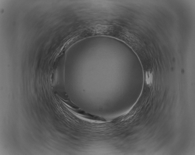 X0000067351155200604030927