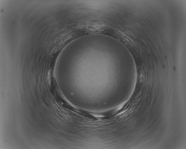 X0000067351156200604030927