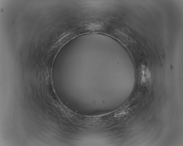 X0000067351158200604030927