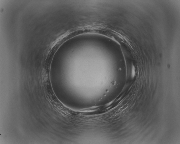 X0000067351160200604030927