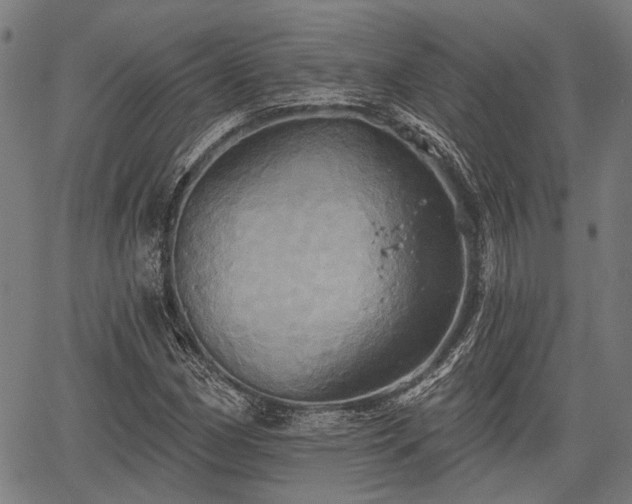 X0000067351162200604030927