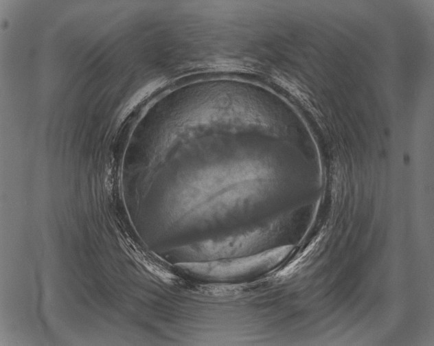 X0000067351163200604030927