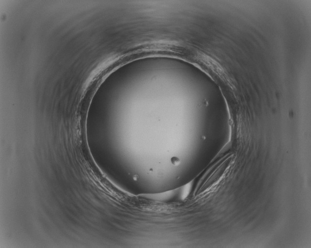 X0000067351164200604030927