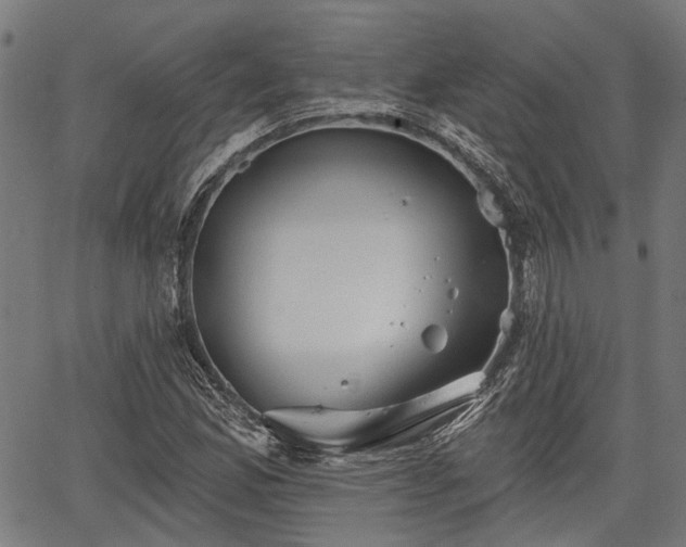 X0000067351165200604030927