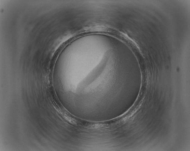 X0000067351166200604030927