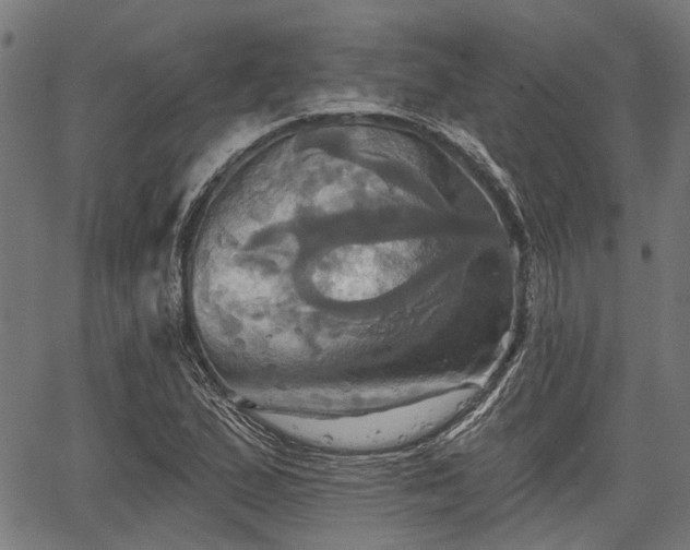 X0000067351167200604030927