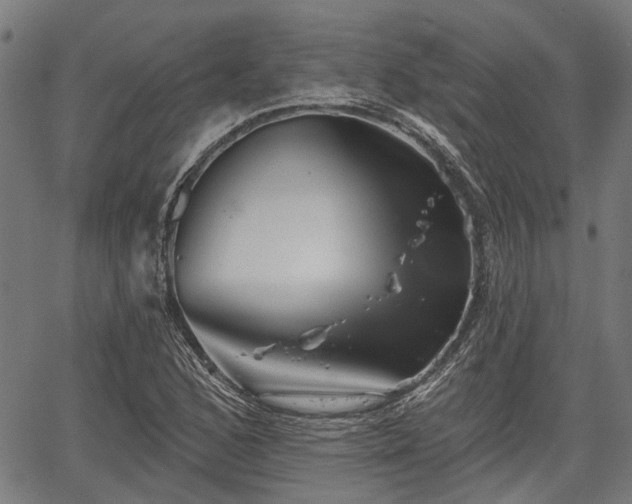 X0000067351168200604030927