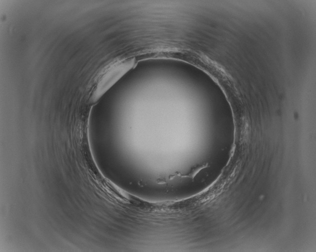 X0000067351169200604030927