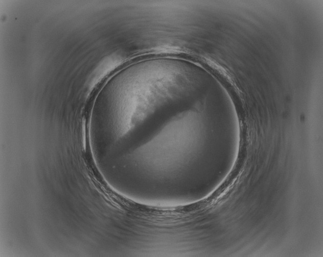 X0000067351171200604030926