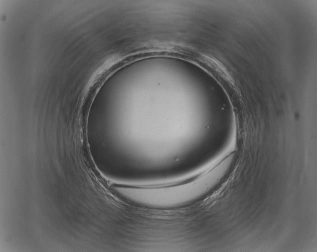 X0000067351172200604030926