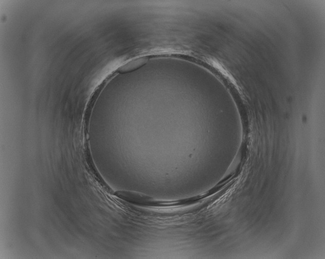 X0000067351173200604030926