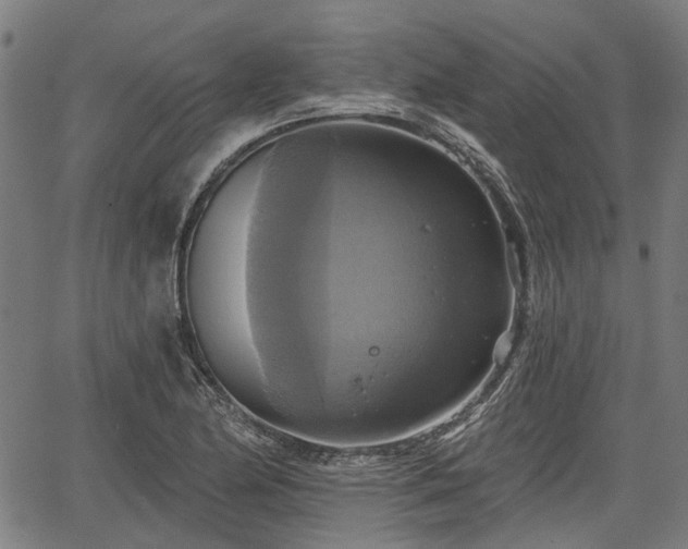 X0000067351174200604030926