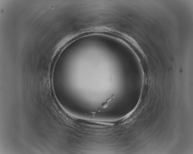 X0000067351176200604030926