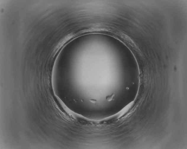 X0000067351177200604030926